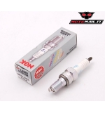 CANDELA NGK IMR9C-9HES IRIDIUM cod. N6503092